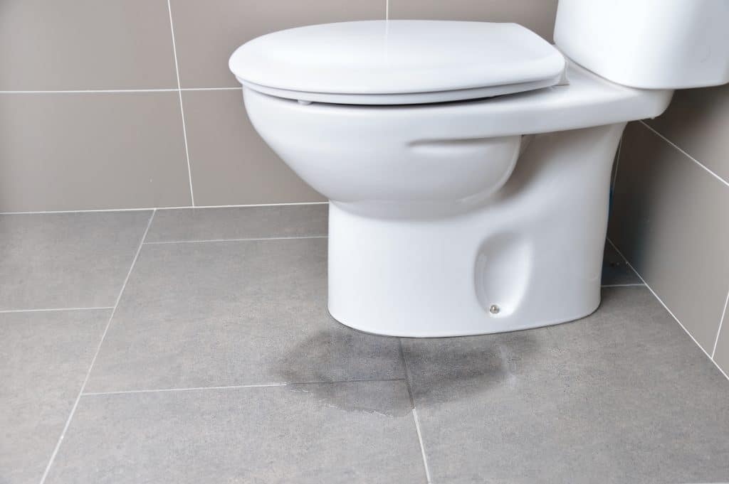 Leakage of water from a toilet